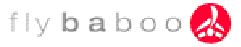 FlyBaboo