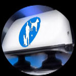 pancarte toit pour maître chien ou conducteur avec chien