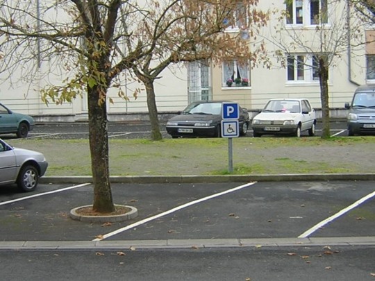 Un arbre en plein milieu d'une place pour handicaps