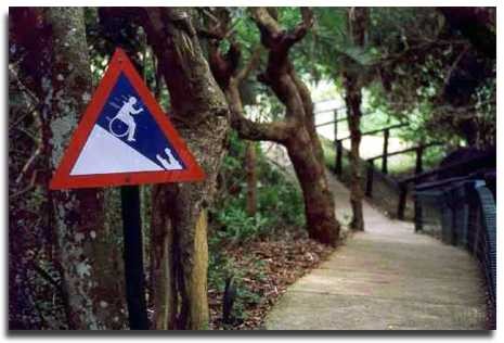 panneau Crocodile en bas de la descente panneau Crocodile en bas de la descente