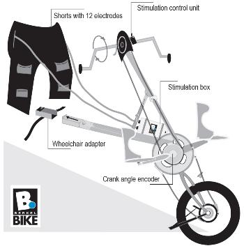 BerkelBike Impuls The Way to Move