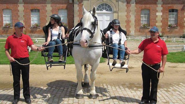 Side-Horse - Ouest France